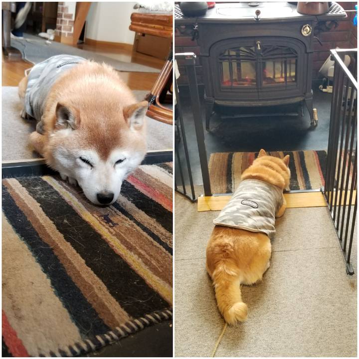 4a316486 2f1d 4da9 824e 742f4b54e354 1646348651219