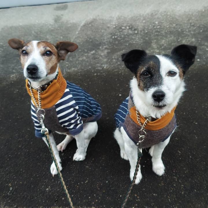 4a3173a3 ad23 4132 951a 27b2e3be250c 1766267965819