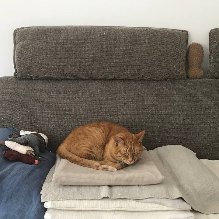 4a31f73d 08e5 4a01 bfea 8462c38c5bfb 1559188676974