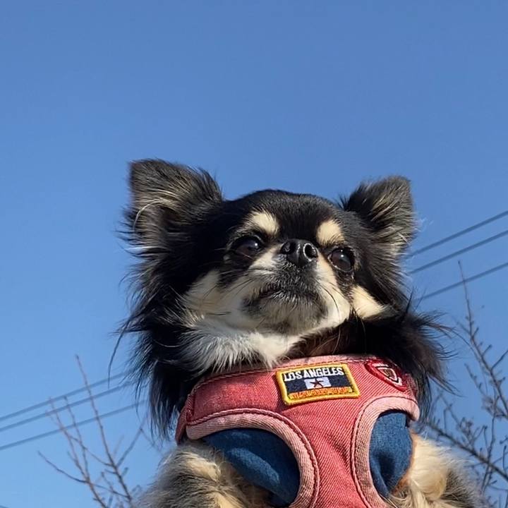 4a323676 a43f 4c19 859d f4f29e040a75 1609067063344