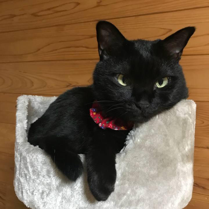 4a325f99 1a1b 4e93 8135 c19af4580387 1530880409626