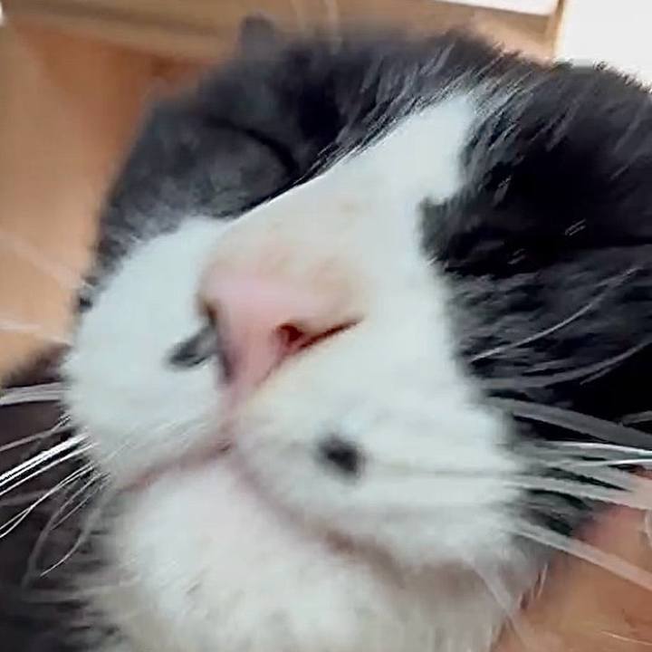 4a32e989 df5e 4fc5 bbf0 84fbd4290d87 1745983435114