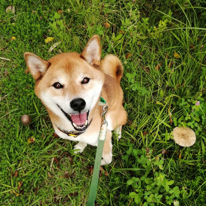 4a32f0a4 9593 4b3e 9627 4bba7523e41f 1629269376532