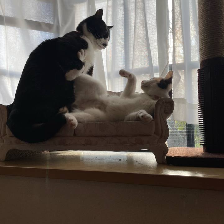 4a3352bb b2f1 4f3f 8d2c 13a2d90a67ba 1673913479111