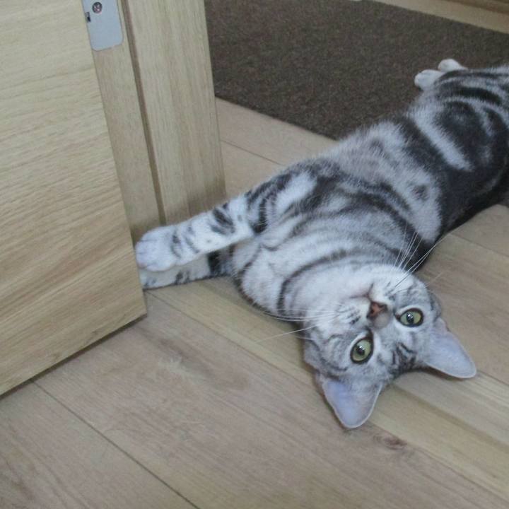 4a3387dd dae5 4942 8fa5 1d564c2844ce 1557226709237