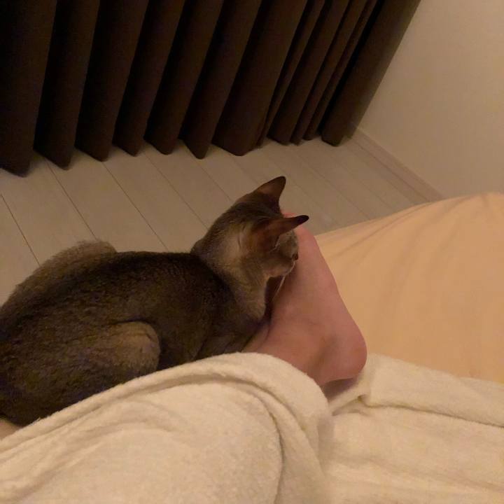 4a33b4dd 6246 4a3c bb0d fa35289ef540 1532875372239