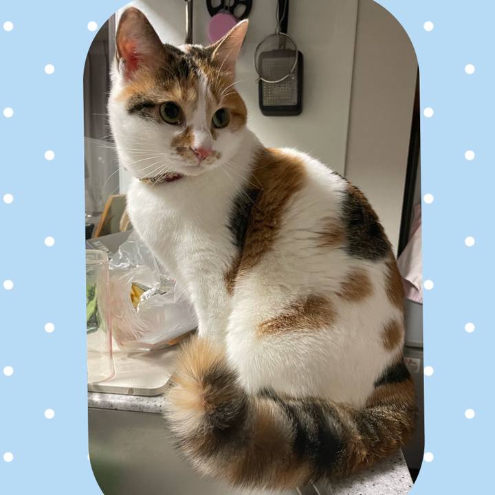 4a33d0df c37a 4e76 85da aa1cd3b0781c 1644398430652