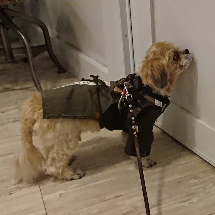 4a341aa9 1efc 413e a654 e783dca948b7 1538834843728