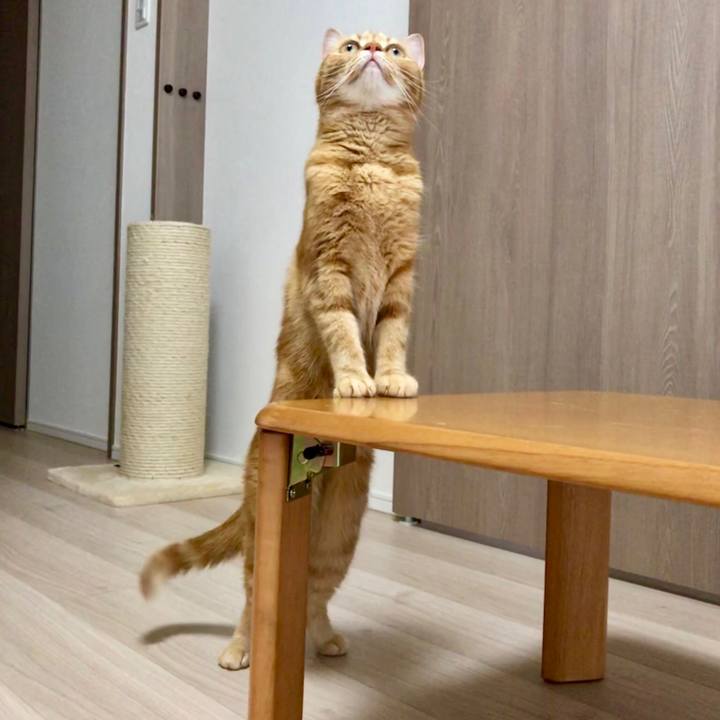 4a3422a5 f581 478d 82e5 45c5d94d8eb7 1530348009207