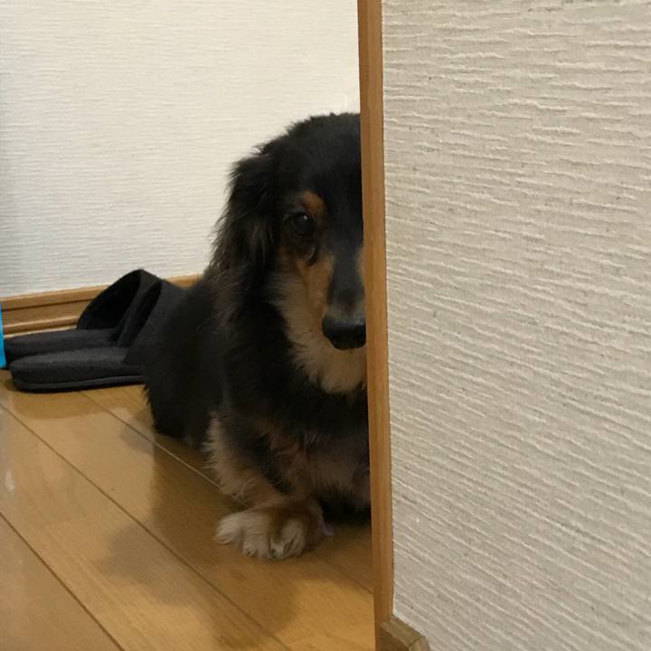 4a343051 a8bb 4056 9ca9 6a3a88a64fc6 1531431875726