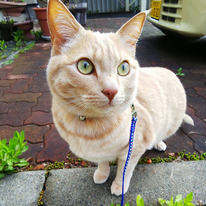 4a346281 faf9 4486 9919 0bd3de4b1336 1588806135987