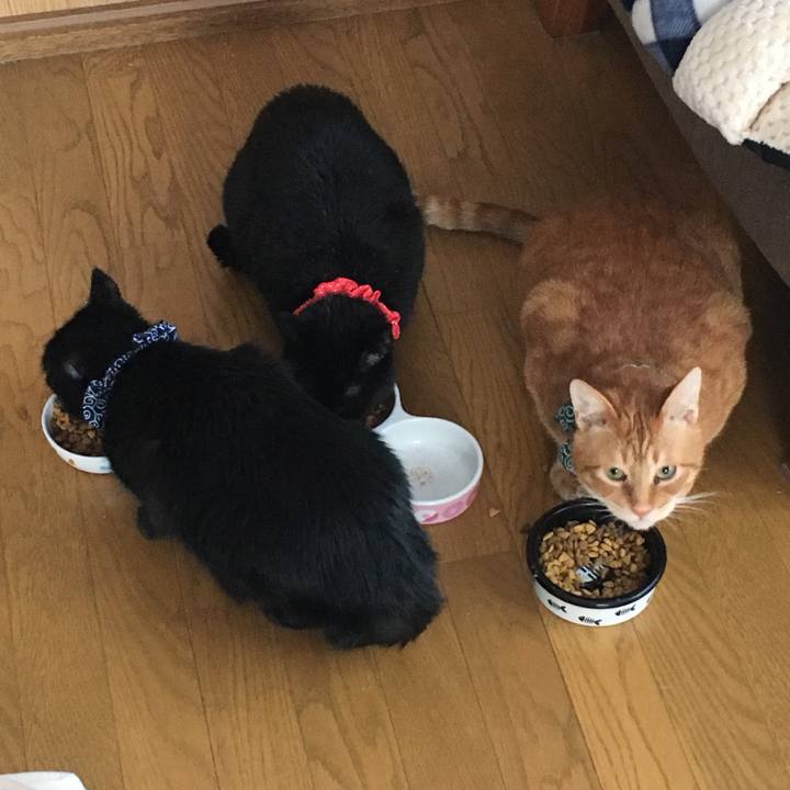 4a346b65 7306 4937 bc4d b612a1cc0d3d 1546901061757