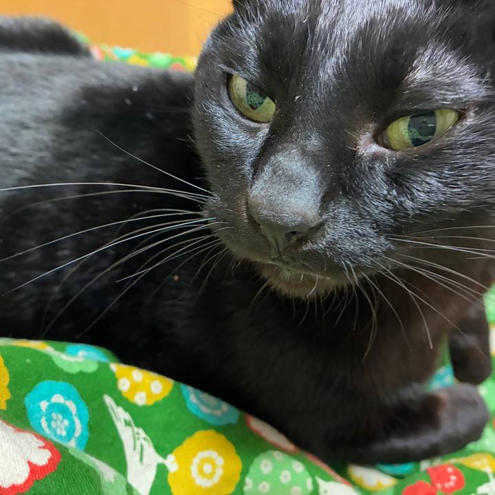 4a34a3dc 46ca 43c5 ac95 b6bed6f11d11 1766660611884