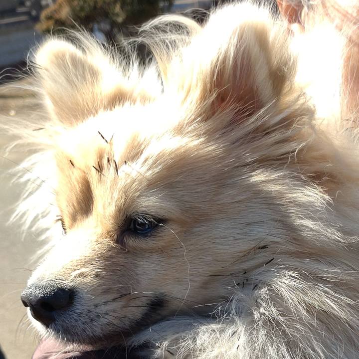 4a34b0f8 300c 414f 9a97 3d498ccef2d5 1739148560725