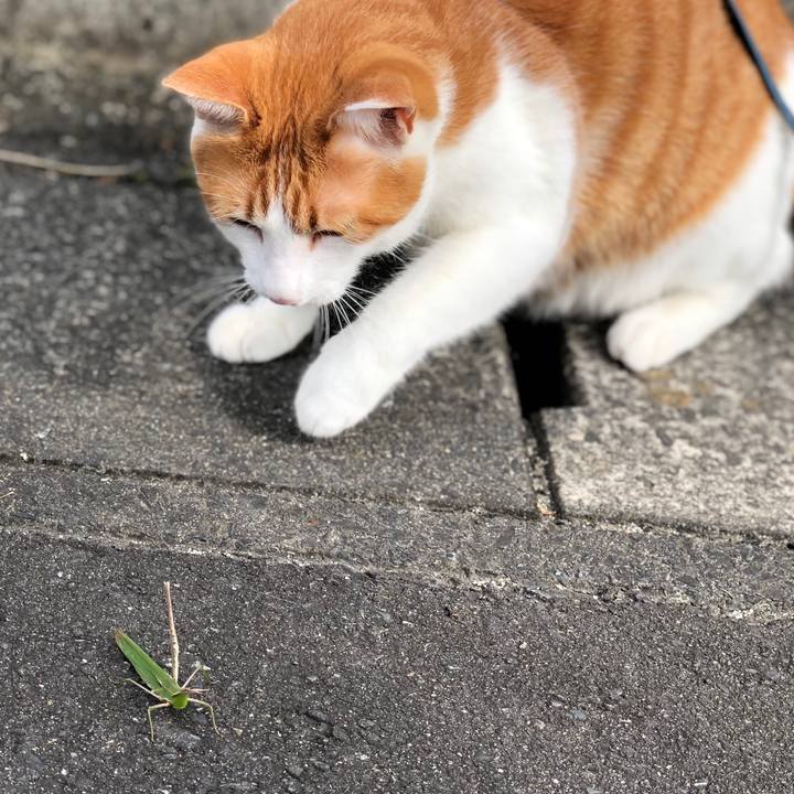 4a34bd63 53fc 4ecc b4ac 9397d39543c0 1569665258391