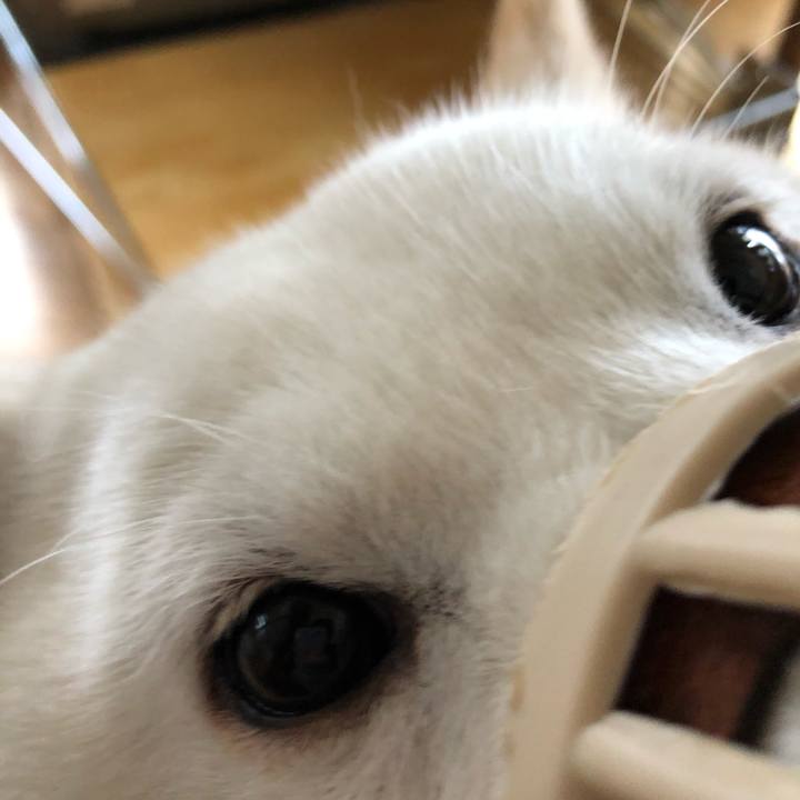 4a34bf96 e7e1 472f 90a7 7603326cf5ca 1575690399888