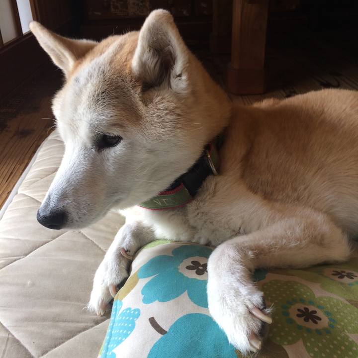 4a34c855 ed8c 4acf ac6a e07e35cefce7 1571544749138