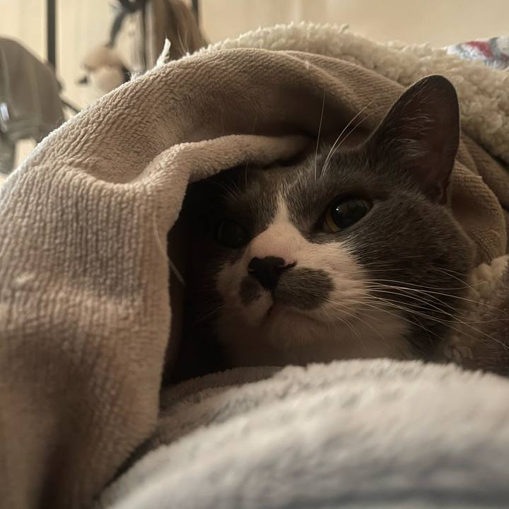 4a351f8c bcd1 4117 b68d f1eac7dd33ea 1706402863196