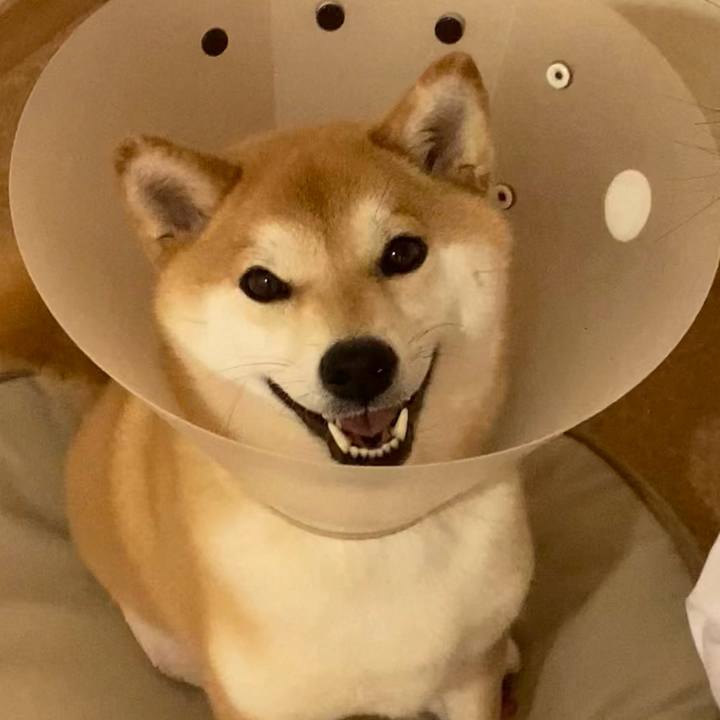 4a359200 3b5f 4775 9627 feb98d342f90 1716512326594