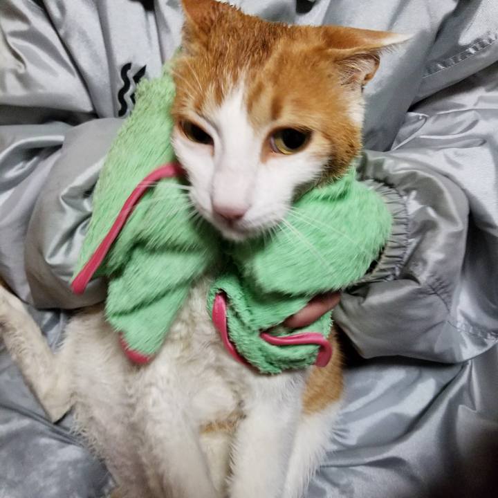 4a359909 eae8 4e41 b621 e015b8da01e3 1519472293254