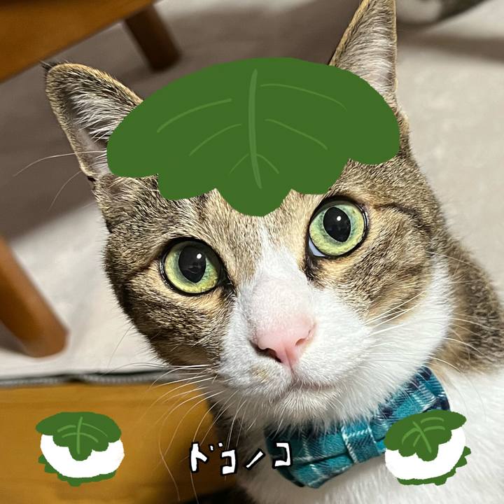 4a359a8d a8af 4cd7 af2c bb903ce211d2 1749096438748