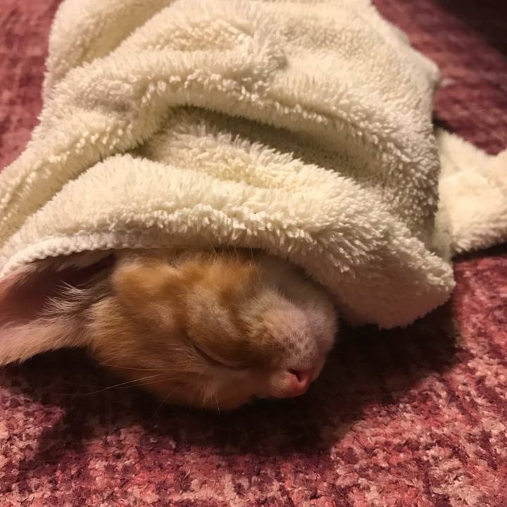 4a35a3df ef3f 4654 a6c2 8c5269f2b0a7 1575198346173