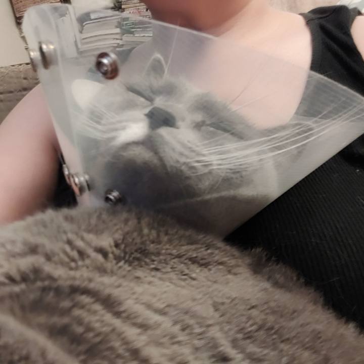 4a35c56c eddc 46bf 9d61 fca8cbe15d1a 1611376023192