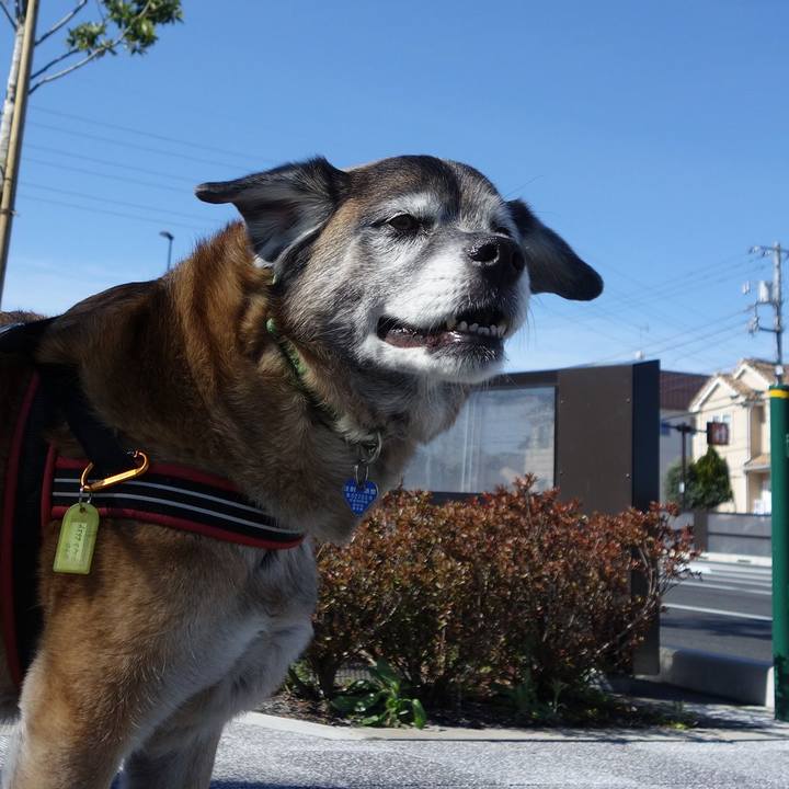 4a35cc3a 8644 41f3 ac58 02c90f301a15 1664929302065