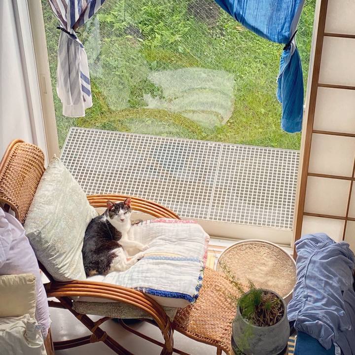 4a35daec 7cb4 4524 94d0 57c0c4d34766 1595377434602