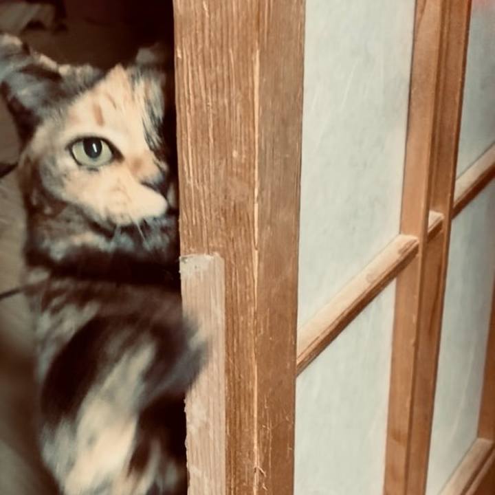 4a35e4ef c123 47ad 970f 17cb560c8425 1767298633849