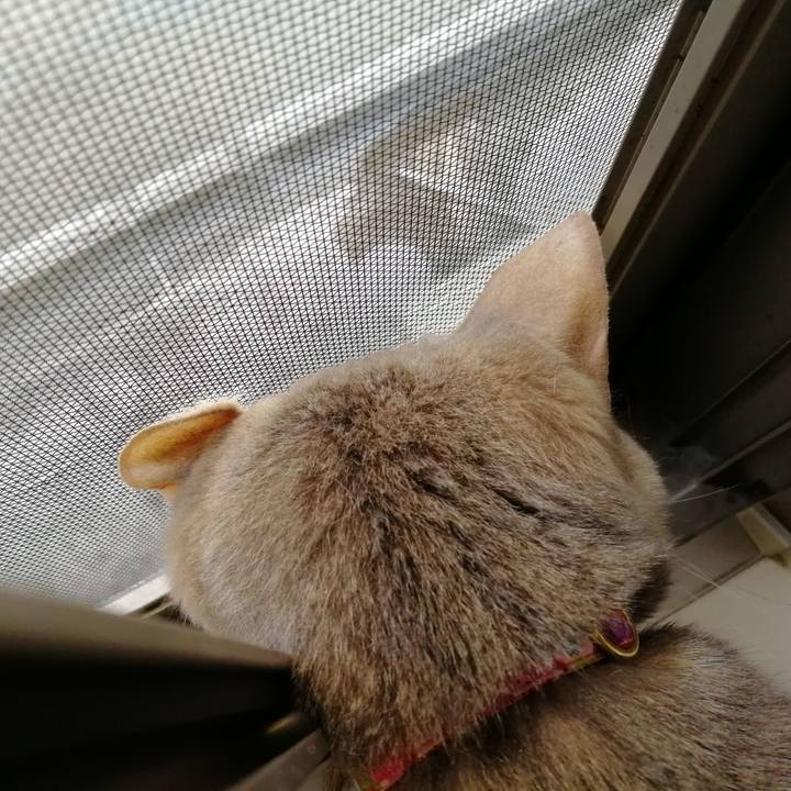 4a368ee6 85d4 4bb1 ad7b 43d3df6942b3 1521767426925