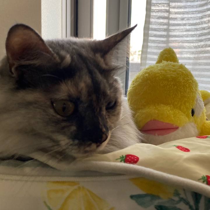 4a36a3a4 59a6 4c12 a2be 39098d62058c 1728793691960