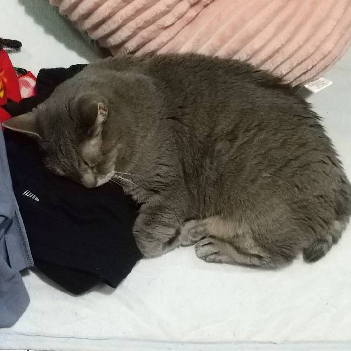 4a36c0e6 010f 4d69 adf4 242965a1f609 1768215130304