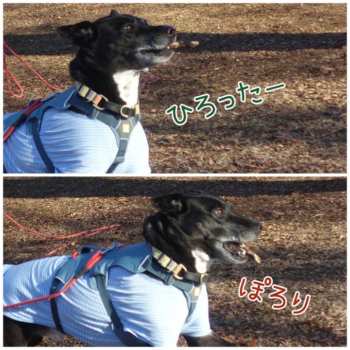 4a36cc85 4a34 4010 ab17 7ed7c210143a 1703816584220