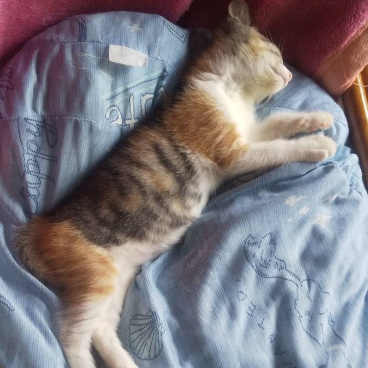 4a36f783 0bd7 43ed 8cdf 9f4d26fd0004 1721535385325