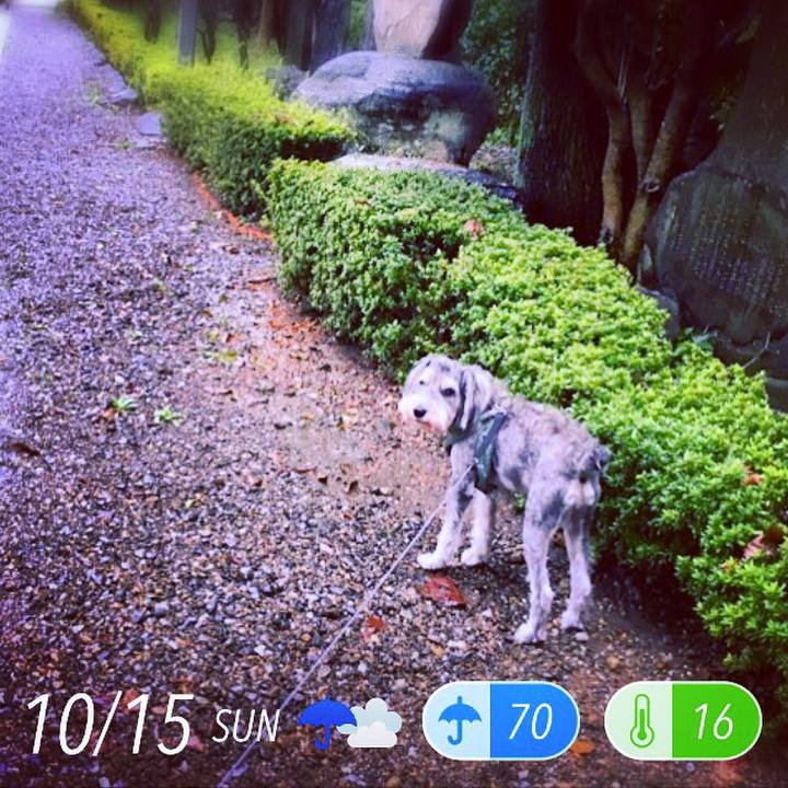 4a3783c5 f778 4003 8e88 0b4d9977a78c 1508052748121