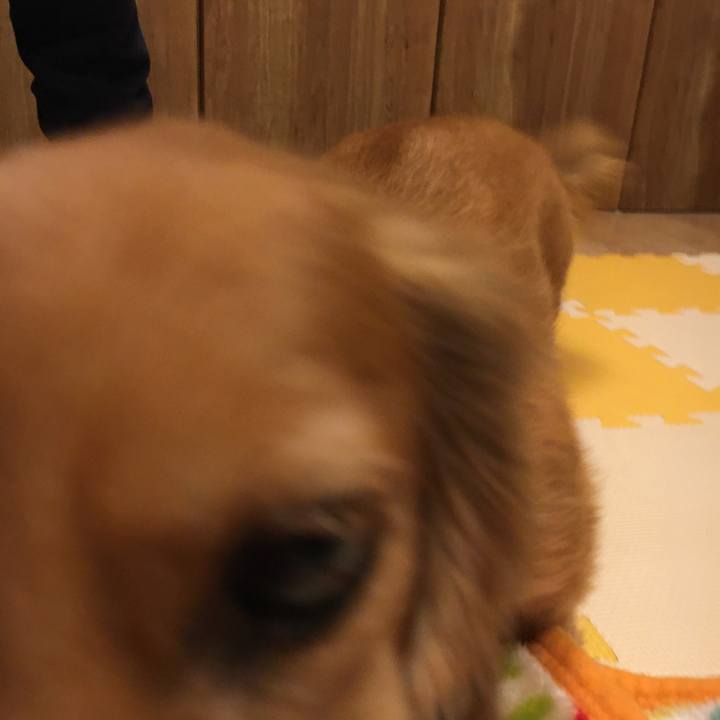 4a37957d 931c 4b5d a1ea 0636c1f16eda 1580110996798