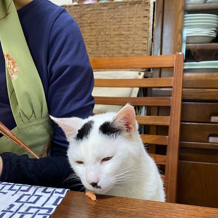 4a37a878 df8b 4af5 a5cd fbd6d800ac06 1654233054145