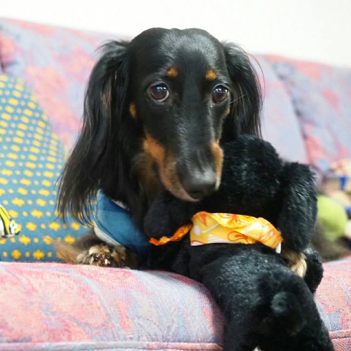 4a37b058 a18f 4eeb bfba 053ec98d8df8 1533859768651