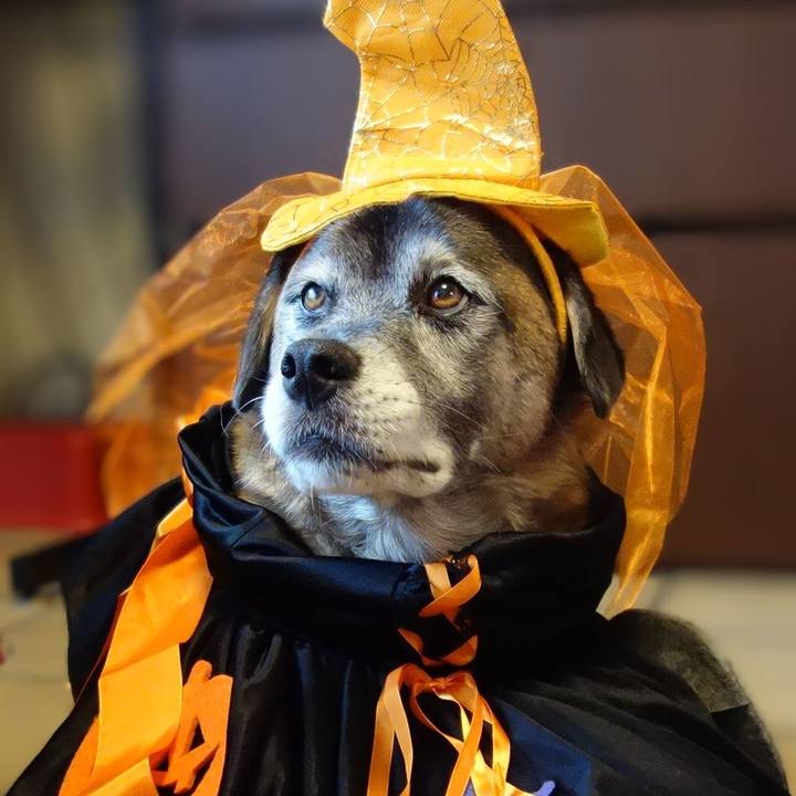 4a37c082 4af3 45f6 8c57 f617597fef48 1698750975181