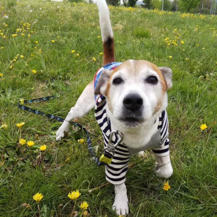 4a380be0 a50f 40c4 a5ce 5e486d0236b4 1523690808656