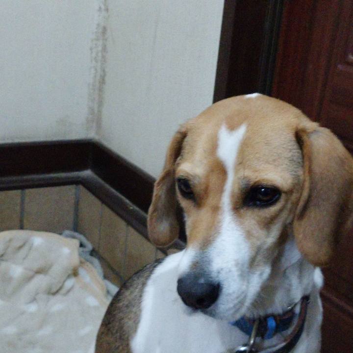 4a381d4c c696 48b5 b1a0 89f9801e9785 1575366300646