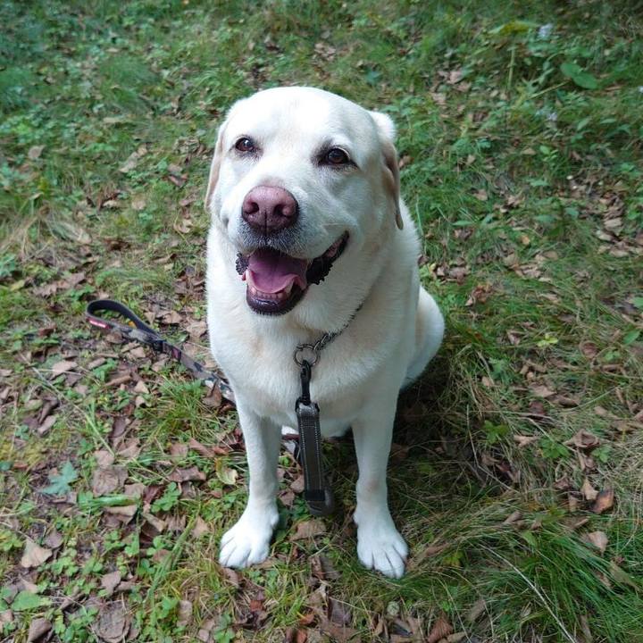 4a3828ff 6c5c 413a b03b fa5c07aa6ac9 1726468308651