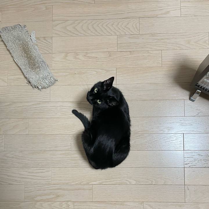 4a3871e8 6138 473c 8d6e 07b8a3e082f8 1641128279402