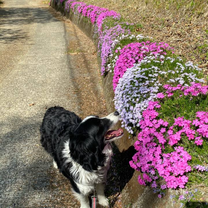 4a388c97 712b 4ffb a770 9547edb70472 1618136126257