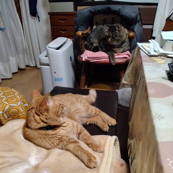 4a38b036 f50d 49f4 a6f4 92395f4c0a3d 1703237573913