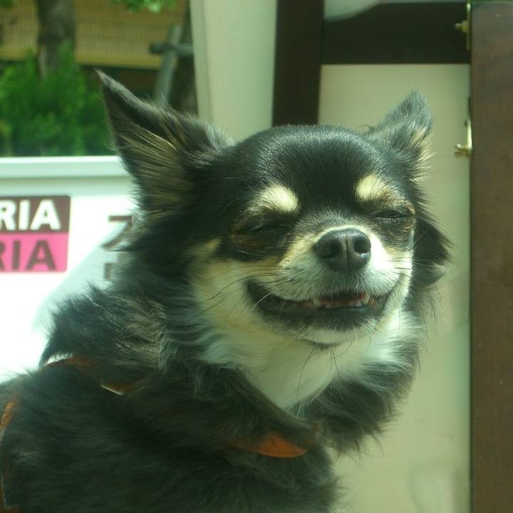 4a3901f0 8621 4890 9660 fc178b7d447f 1543128576879