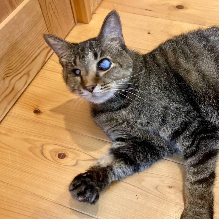 4a393d90 ad44 4450 9994 2499c0391876 1659066585641