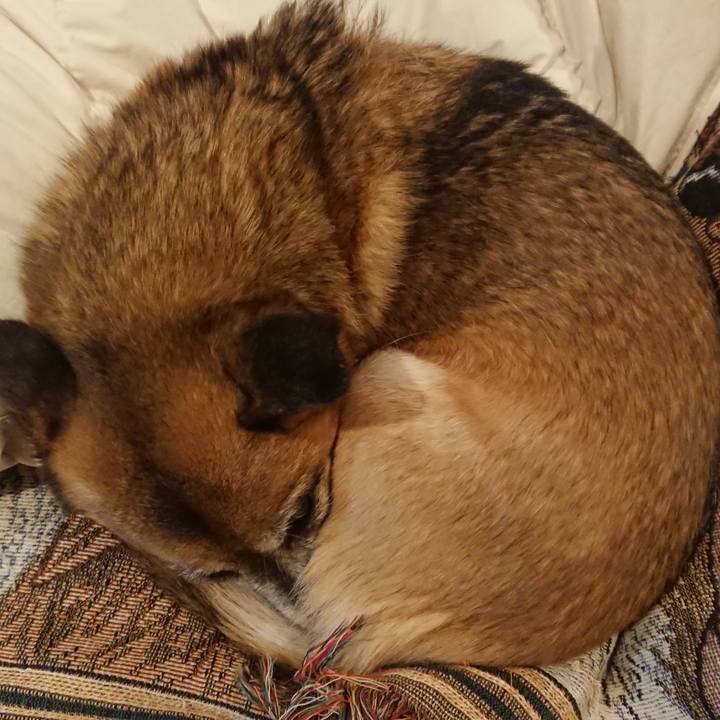 4a3948c9 087d 4f18 b6ff 91fa62a58316 1518700261239