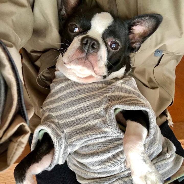 4a395cc2 a036 47ae a50e 6564b3c2ce61 1540700304875